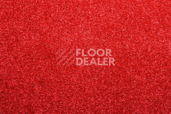 Ковролин CONDOR Carpets Bologna 20 фото 1 | FLOORDEALER
